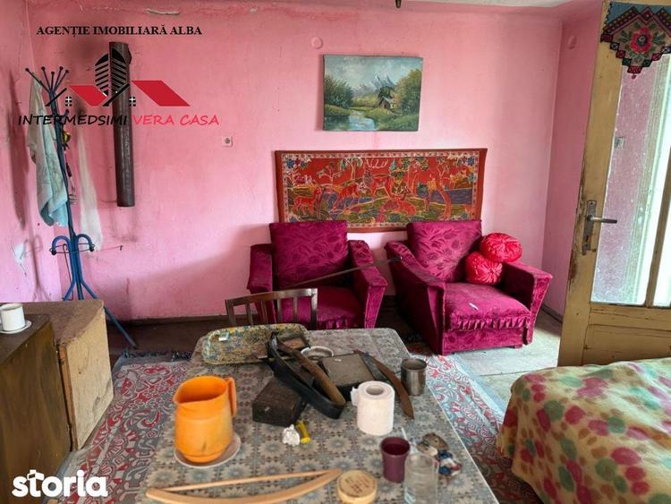 Casa si anexe cu un teren de 7701 mp de vanzare in Stauini Jud Alba - 7