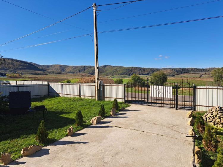 2 Case de vanzare - 6