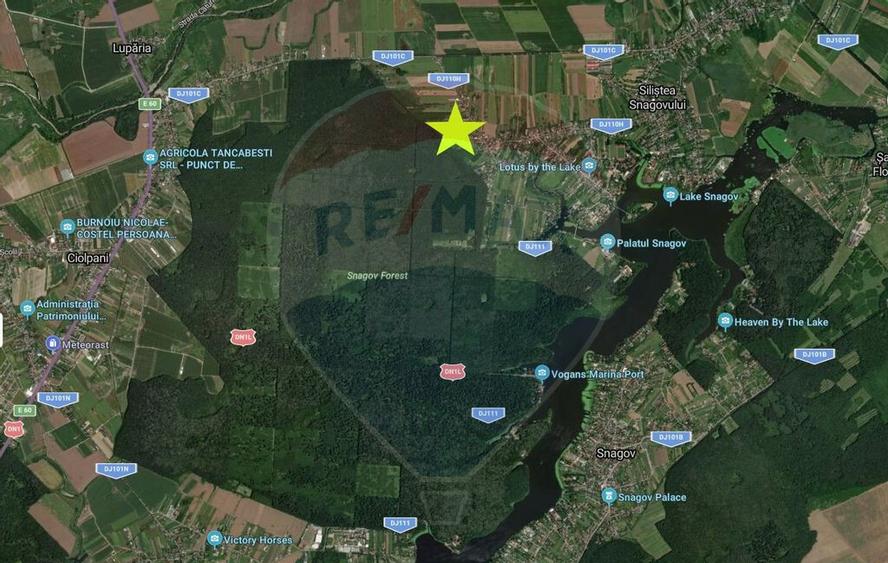 Teren intravilan, 450mp, Gruiu/Ilfov - 8