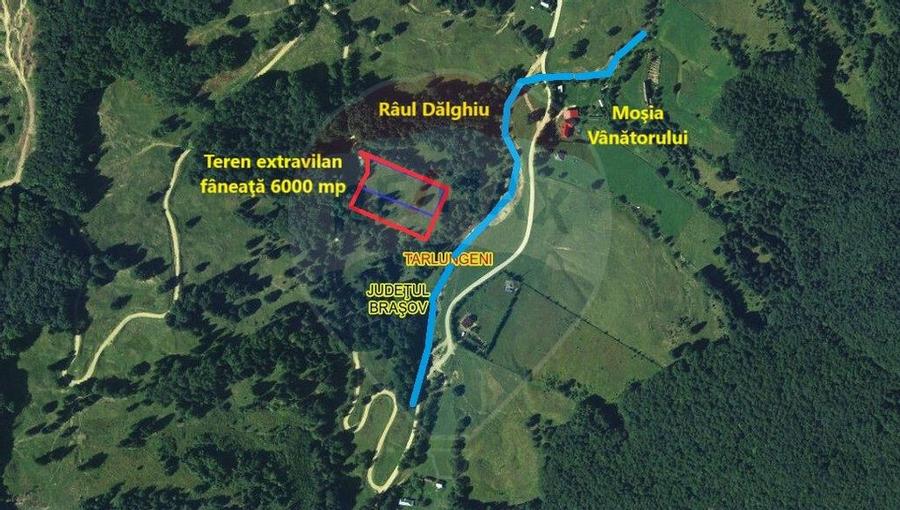 Teren 6000 mp, Vama Buzaului - vedere catre Ciuca? - 5