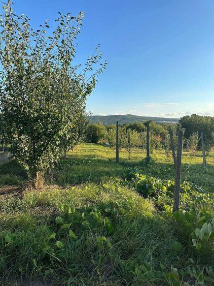 Teren de vanzare in Barnova Iasi - 3