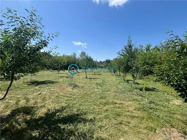 Royal Imobiliare-Vanzare Vila Zona Romanesti - 27