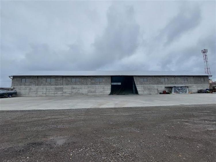 Hala pentru depozitare si sediu administrativ in Vladimirescu - 5