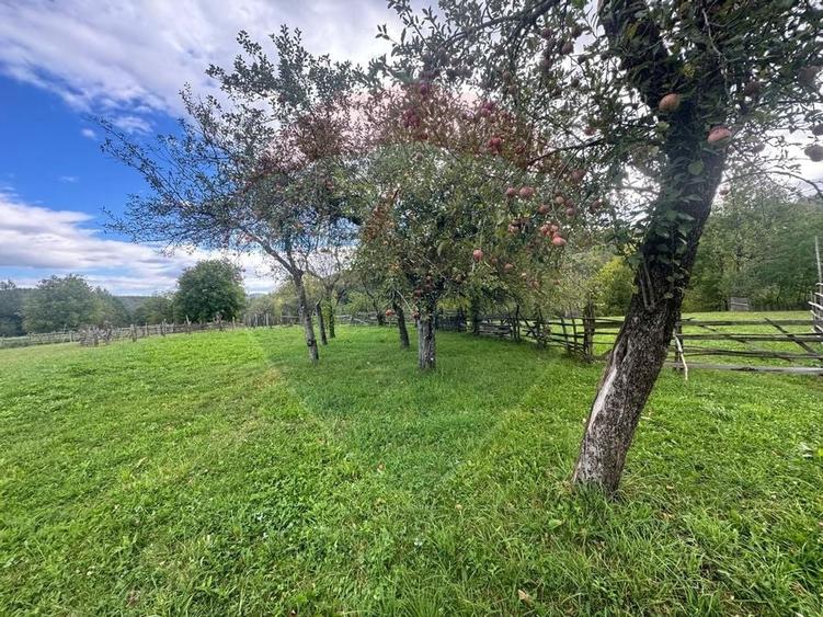 O oportunitate unica in inima naturii -- 6.605 mp in Candesti - 13