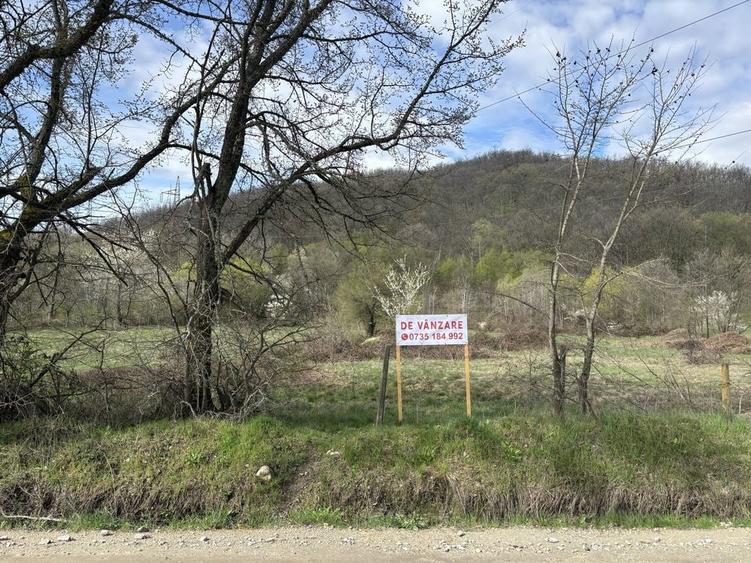 Parcele de teren intravilan in localitatea Eselnita, strada Aninilor - 6