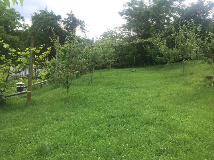 Teren Rm. Valcea, central- Stirbei Voda - 3