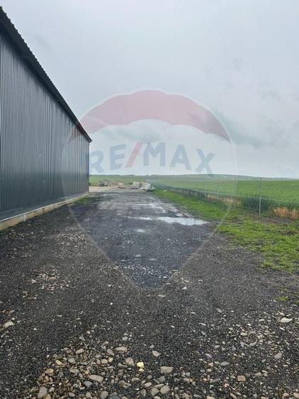 HALA -  Spatiu industrial de 345mp de inchiriat - 2