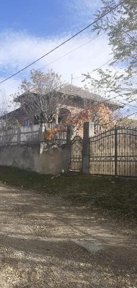 Casa cu curte mare ?i vie pe spalieri - 2