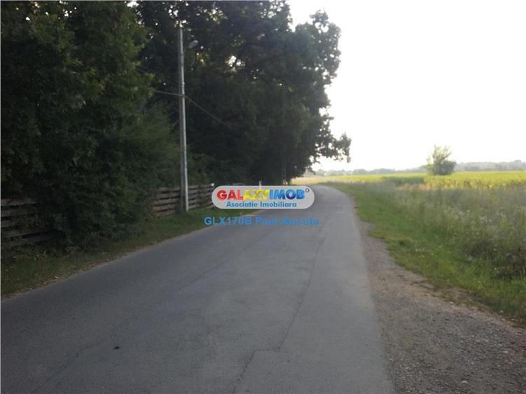 Teren Impadurit 1 Ha Corbeanca aviz defrisare pnt 2 case - 1