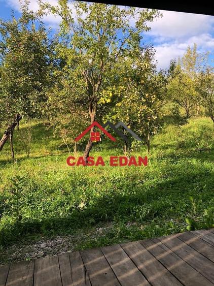 Teren extravilan de 9104 mp, în Brebu Mânăstirei