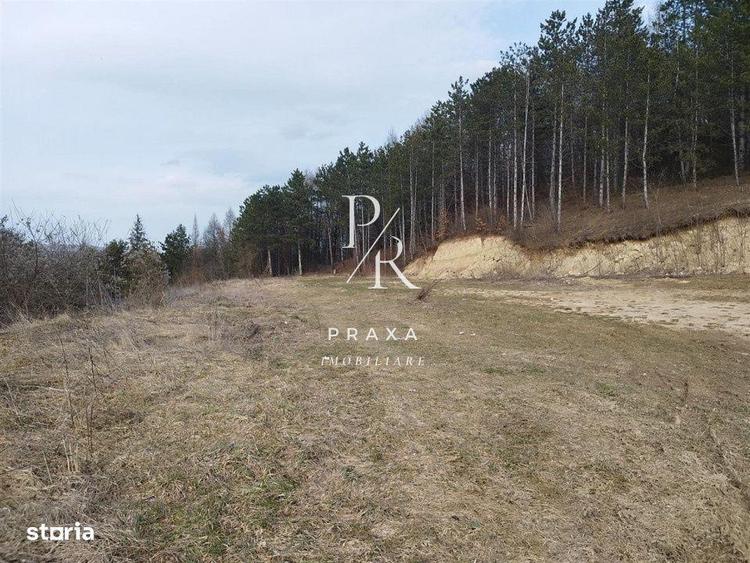Teren 1100 mp toate utilitatile, incadrat in zona verde- Colina! - 3