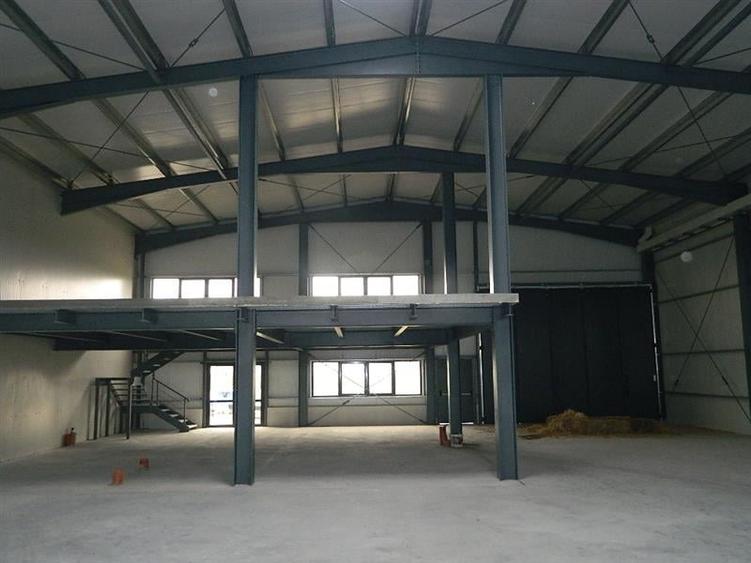 Hala  productie / depozitare Timisoara  ,1000 mp , zona Aradului - 5