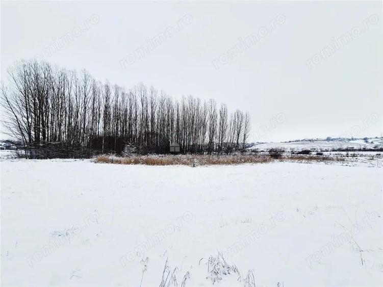 Teren de vanzare in Dorohoi zona de Nord - 1