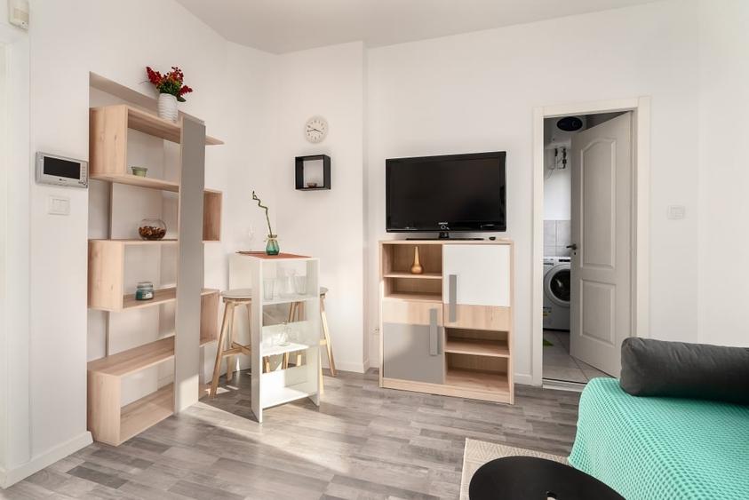 Garsoniera in Vila Interbelica-Foisorul de Foc - 2