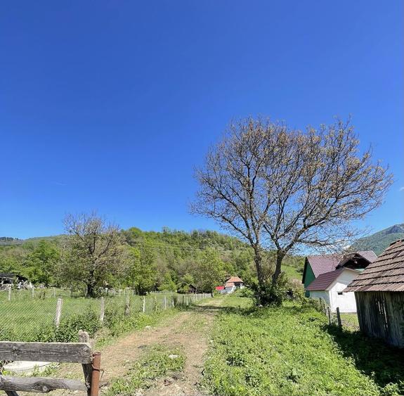 Vand casa Ocolis, teren 2800 mp jud. Alba. - 6