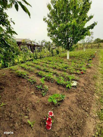 Casa 200mp + teren 2745mp la 30km Bucuresti - pre? ajustat vanzare - 3