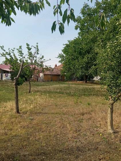 Vand teren intravilan(casa)Cioranca, Localitatea Movila Banului, Jud. Buzau - 1
