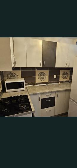 Garsoniera- Uzina 2 - Pet Friendly  - 1