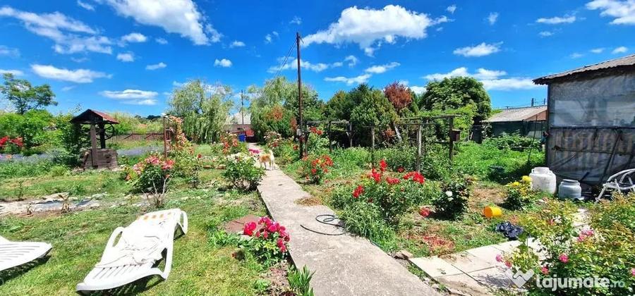 Casă cu 3 camere cu Teren 2100 Mp în Tuzla