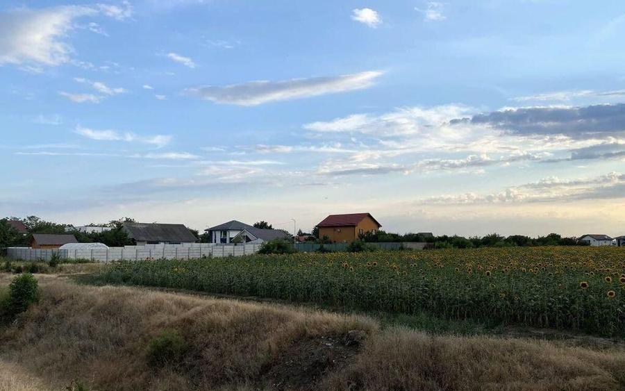 Tamasi, langa padure, 12.824 mp, deschidere 45 ml, teren ... - 3