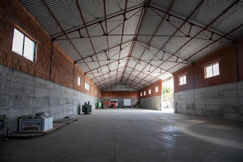 Hala pentru depozitare si sediu administrativ in Vladimirescu - 6