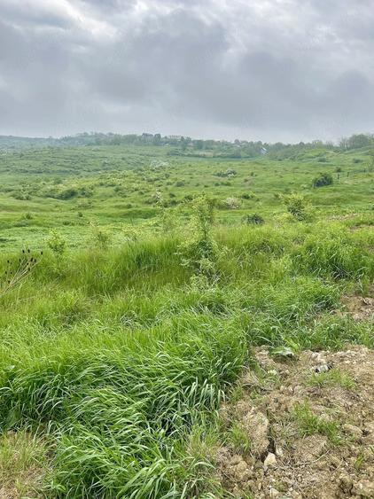 Teren de 5100 mp, în Aroneanu