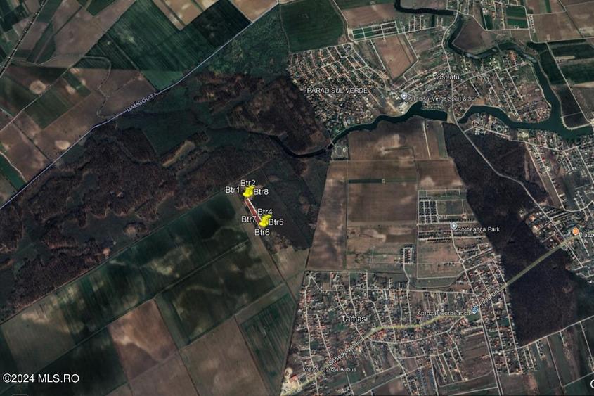 Tamasi, langa padure, 12.824 mp, deschidere 45 ml, teren cu potential! - 4