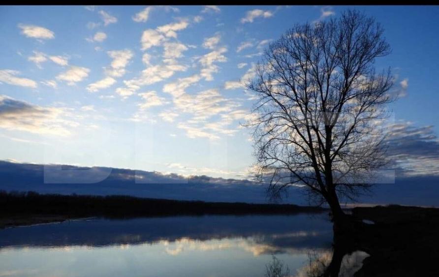 Teren, 120000mp, Insula Calinovat, Moldova Noua - 6