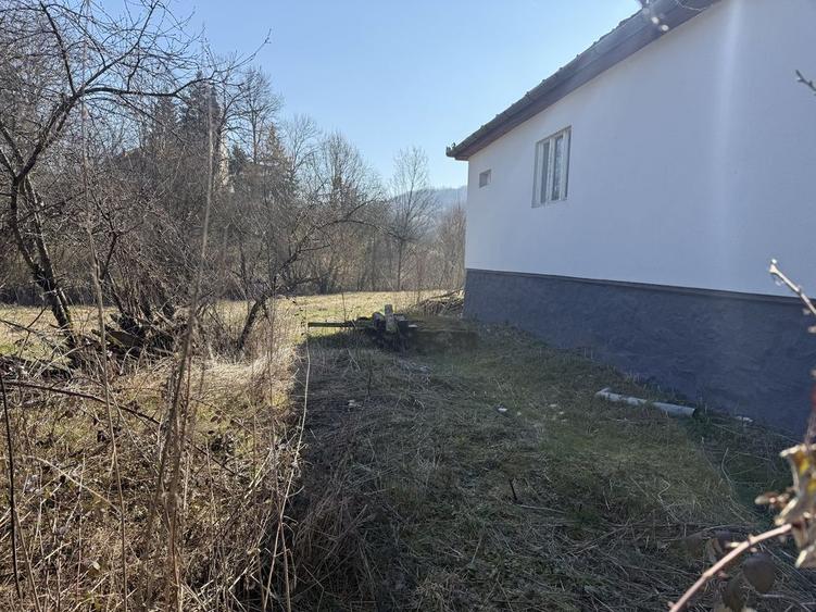 Vand casa in Dumbravita Arad - 7