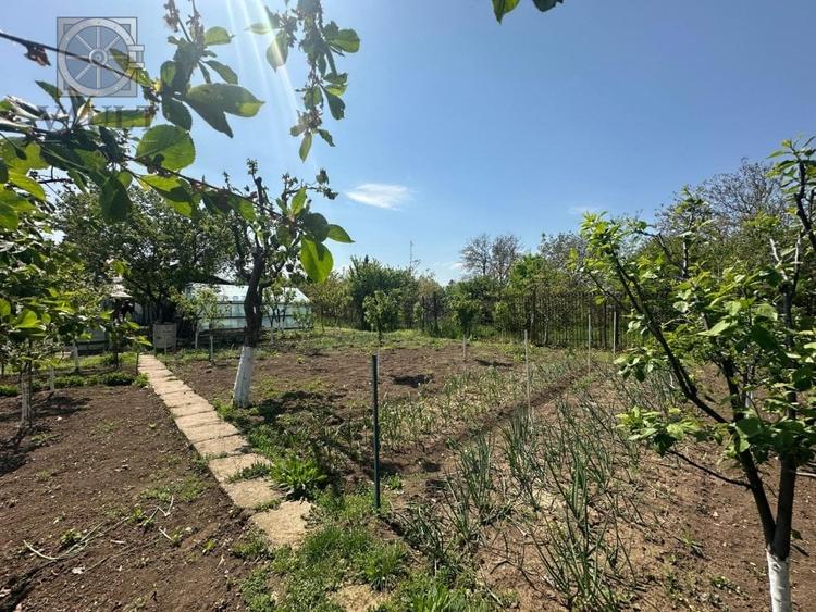 Casa -  Mogosoaia - Individuala - - 17