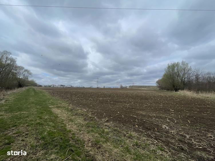 Teren Intravilan | 50 Ari | Zona Periferica Radauti - 2