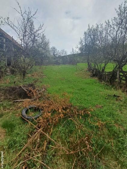 20 de arii si 2 case in Fi?cau - 6