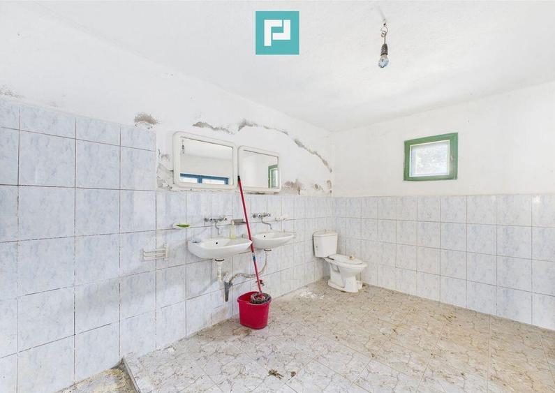 Cladire cu 5 camere cu teren ?i hala in Cenad - 2