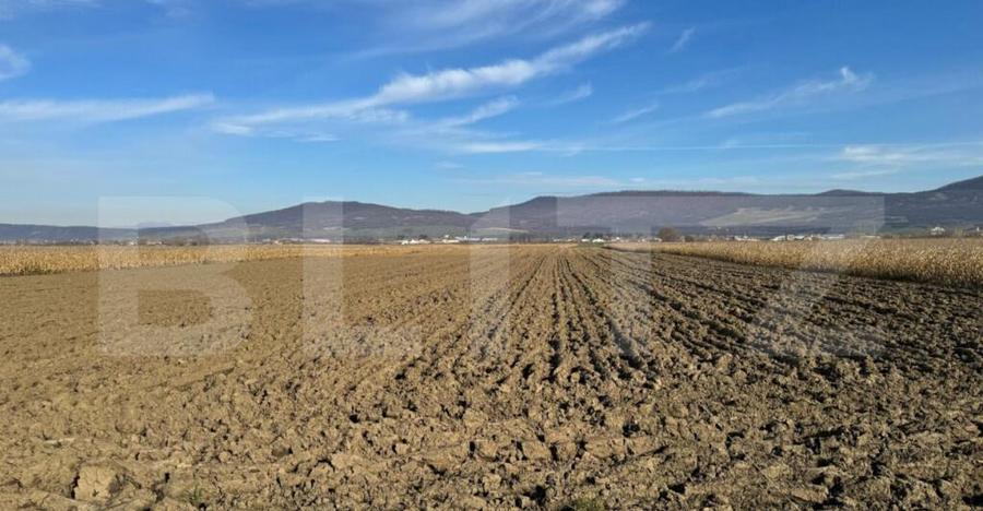 Vand 53 de ari de teren intravilan in Arcalia - 2