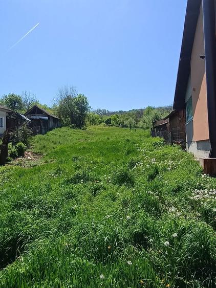 Teren de vanzare Pausesti Maglasi - 8