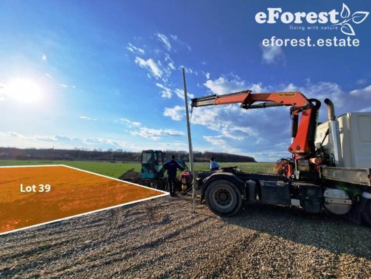 Teren rezidential la padure Crevedia - 3