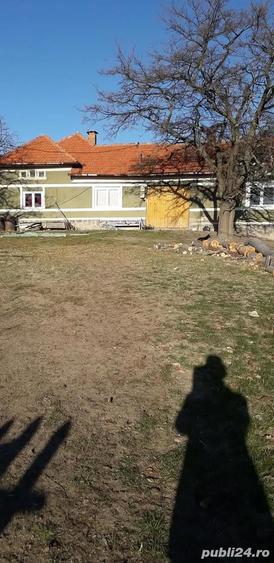Casa cu 6 ha de teren - 4