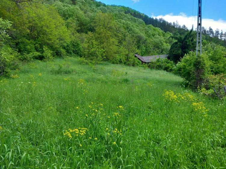 Vand Teren Intravilan Cluj com.Iara sat.Lungesti - 4