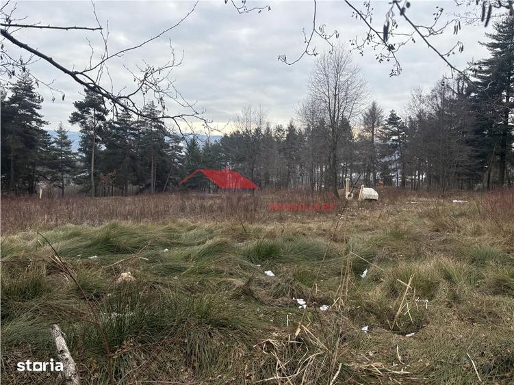 Teren cu 2 izvoare, Prundul Bargaului - 4