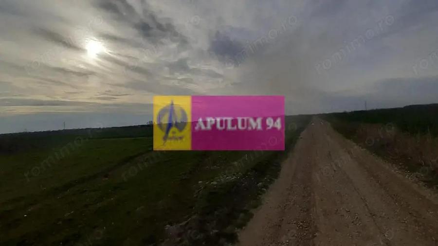 Parcela langa padure in Ilfov - 6