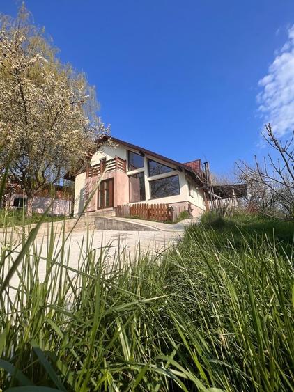 Pucioasa vila eleganta la doar 30 km de Sinaia - 9