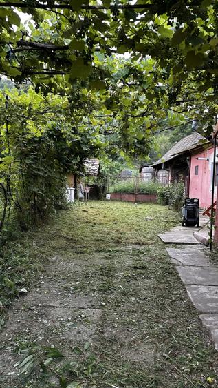 Casă cu 3 camere cu Teren 800 Mp în Nemșa