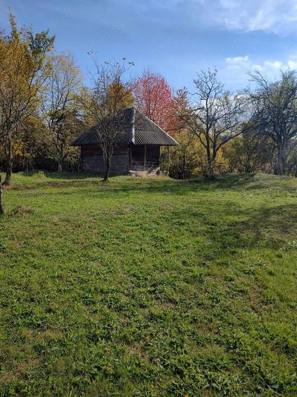 Teren de 10200 mp, în Costești