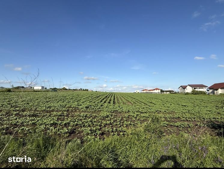 Teren de 8445 mp, în Rediu