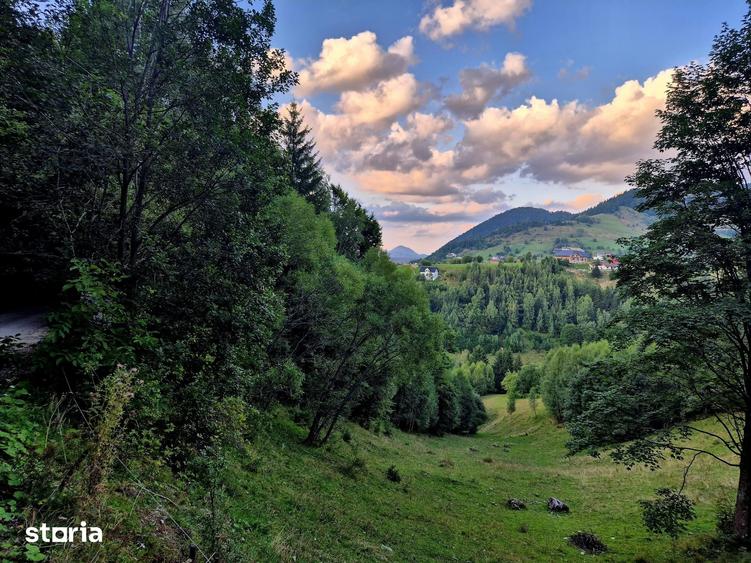 Teren investitie 8635 mp extravilan , Pestera Brasov - 8