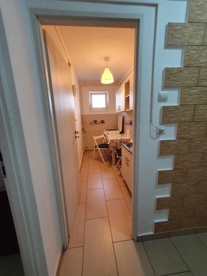 Vand Garsoniera Theodor Pallady - 1