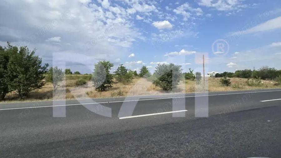 Teren Centura Nord | Giratoriu Albesti | INTRAVILAN | 39 / mp | 31 m front | - 3