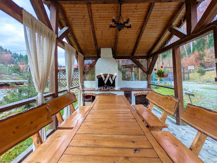 Cabana / Casa de vacanta pe Transfagarasan - Sibiu - 9