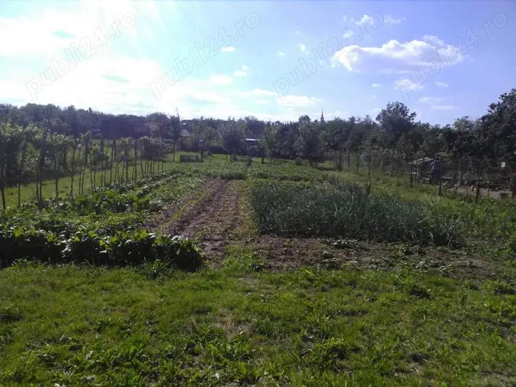 Casa de vanzare Barsa , Arad - 7