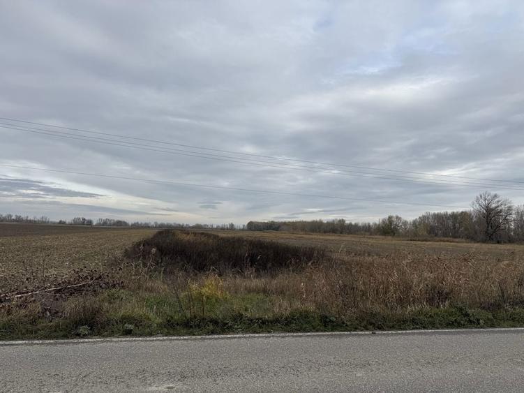 Teren de vanzare - 5